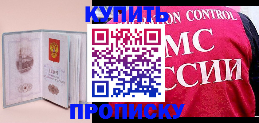 прописка паспорт в Химках